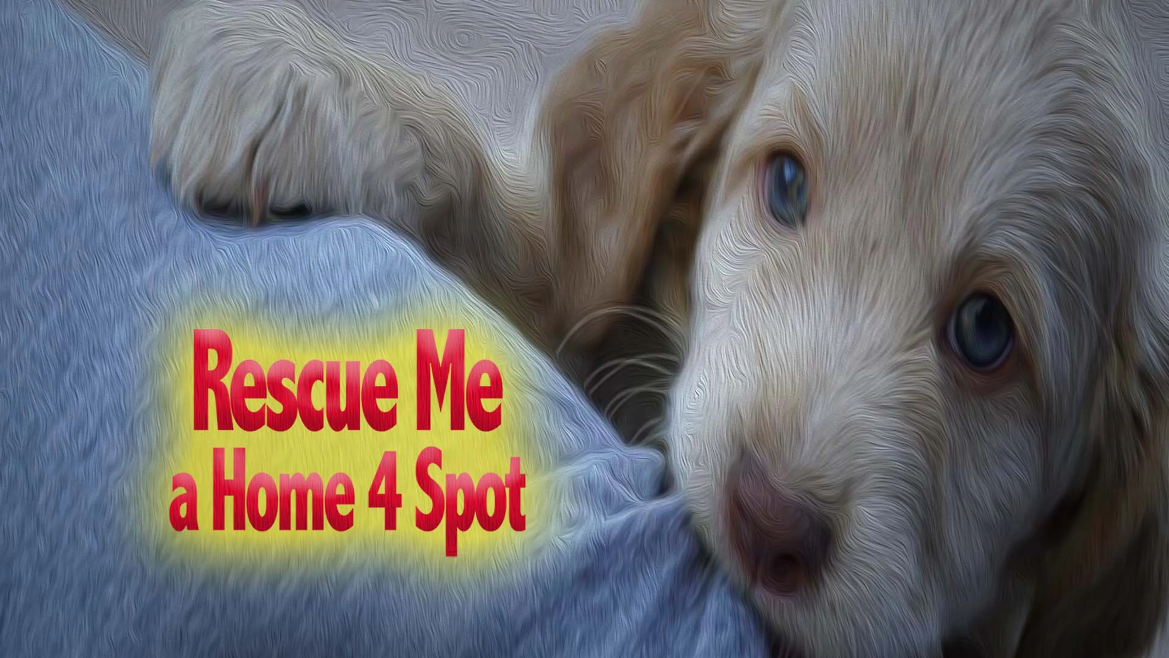 Rescue Me: A Home 4 Spot poster